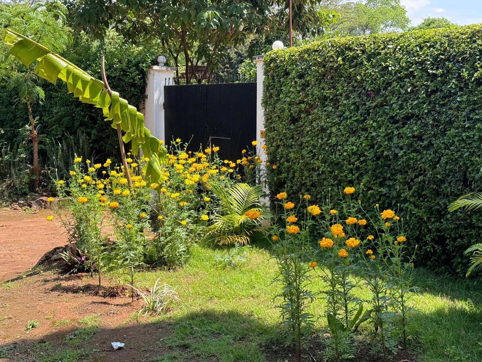 Karibu Africa Home Moshi Eksteriør billede